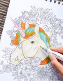 Colorful Unicorns Adult Coloring Book Illustrated By Terbit Basuki