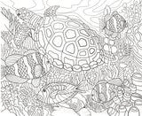 The Best Of ColorIt by Various Artists (30 Pages)