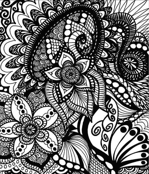 Doodle Coloring Books: Adult Coloring Book with Fun, Easy, and Relaxing  Coloring Pages (Dover Coloring Books)(Volume 1) (Paperback)