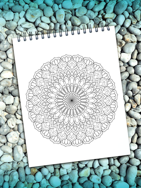ColorIt Mandalas To Color, Volume VIII Adult Coloring Book 50 Floral and  Geometric Mandala Patterns and Designs, Spiral Binding, USA Printed, Lay  Flat Hardback Book Cover, Ink Blotter