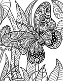Introduction To ColorIt Download Pack Of 20 Drawings
