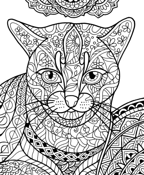 Review: ColorIt Adult Coloring Books - EbbyDoesItAll 