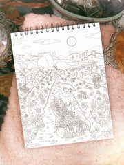 ColorIt France Adult Coloring Book - Grasse Flower Fields Coloring Page