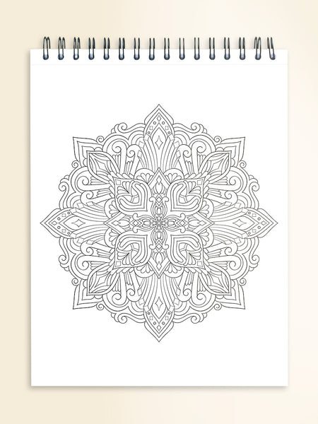 Adult Coloring Book, Hand-drawing ,Thick Pages, Water Colors & Markers, No  Bleed