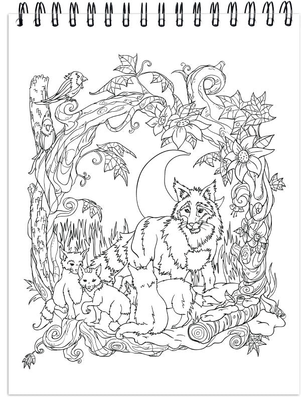 Colorful Seasons Illustrated by Hasby Mubarok, Terbit Basuki, Ivan Gatarić and Stevan Kasih