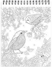 Colors Of Nature Illustrated By Stevan Kasih