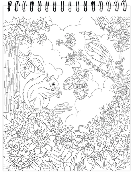 Color & Frame - In the Forest (Adult Coloring Book) (Spiral)
